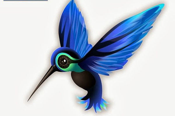 hummingbird algorithm